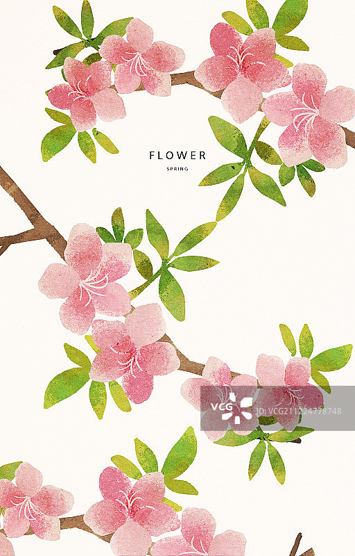 图案，花朵，春天，细节，樱桃图片素材