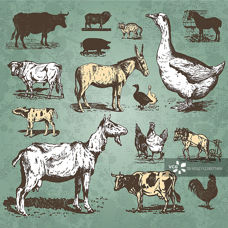 农场动物复古集(矢量)图片素材