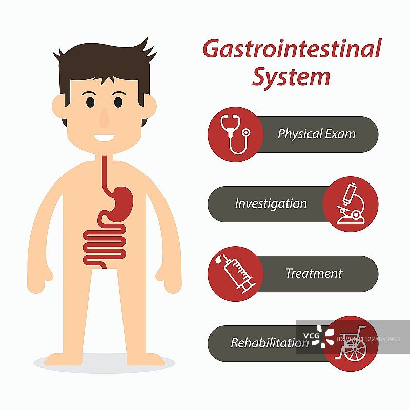 胃肠系统和医疗线图标图片素材