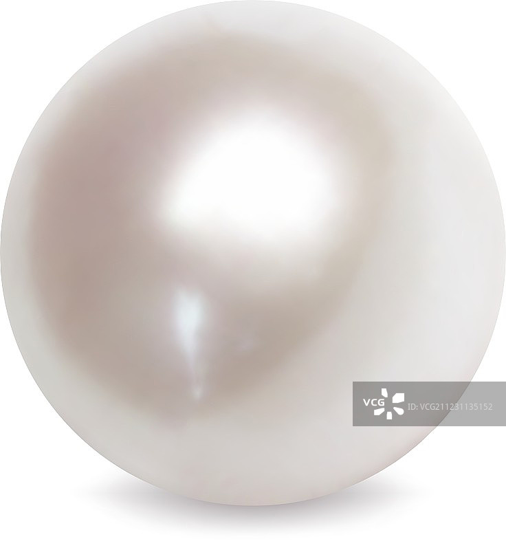 白色珍珠图片素材