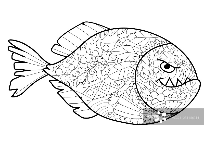 成年食人鱼染色图片素材