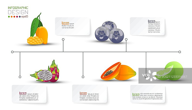 水果维生素的营养价值信息图。图片素材