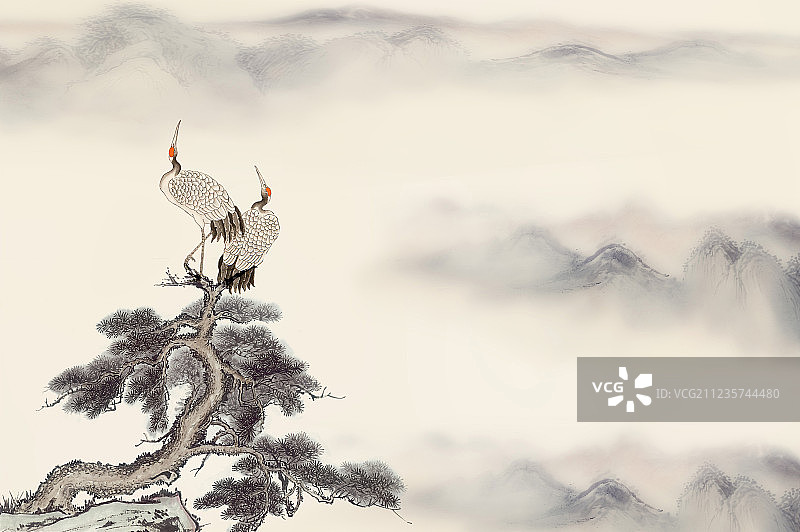 中秋佳节仙鹤及松树图片素材