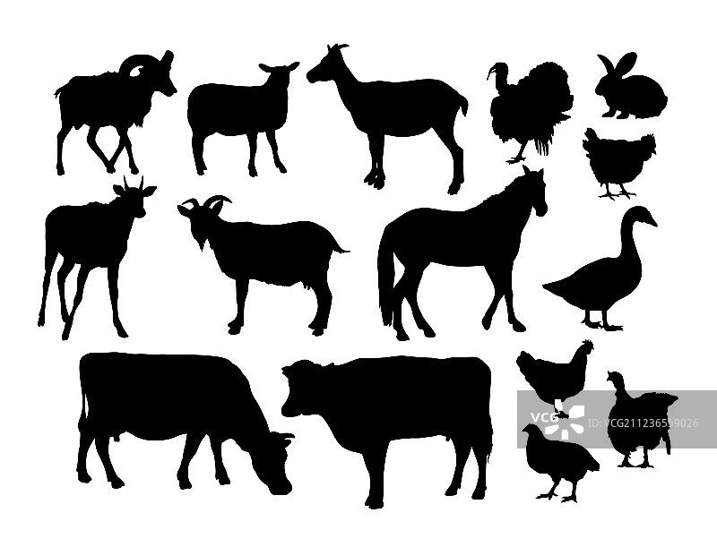 农场动物的剪影图片素材