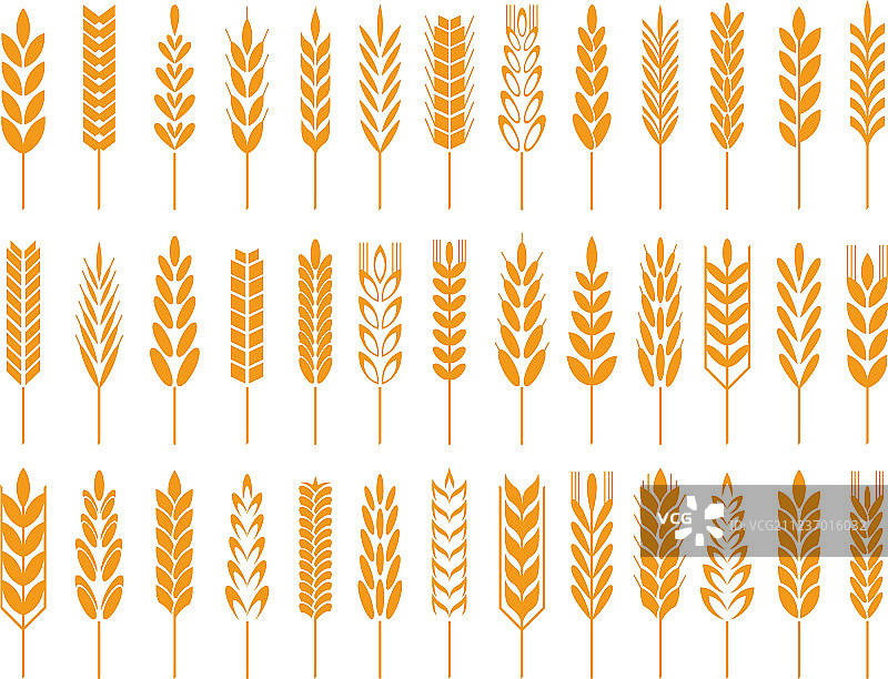 小麦谷物图标小麦面包标志农业谷物图片素材