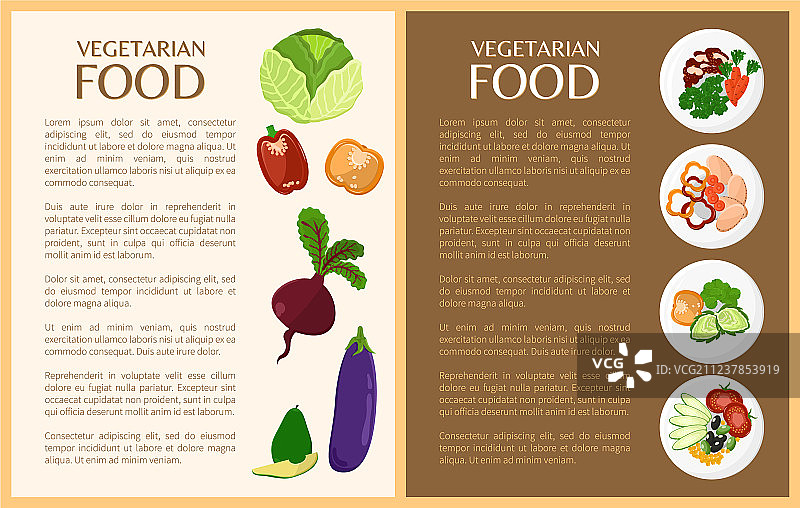 素食蔬菜和健康菜肴图片素材
