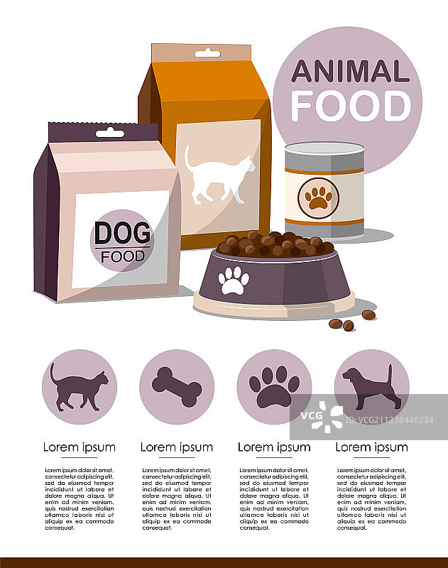 宠物食品干燥宠物食品信息图表图片素材