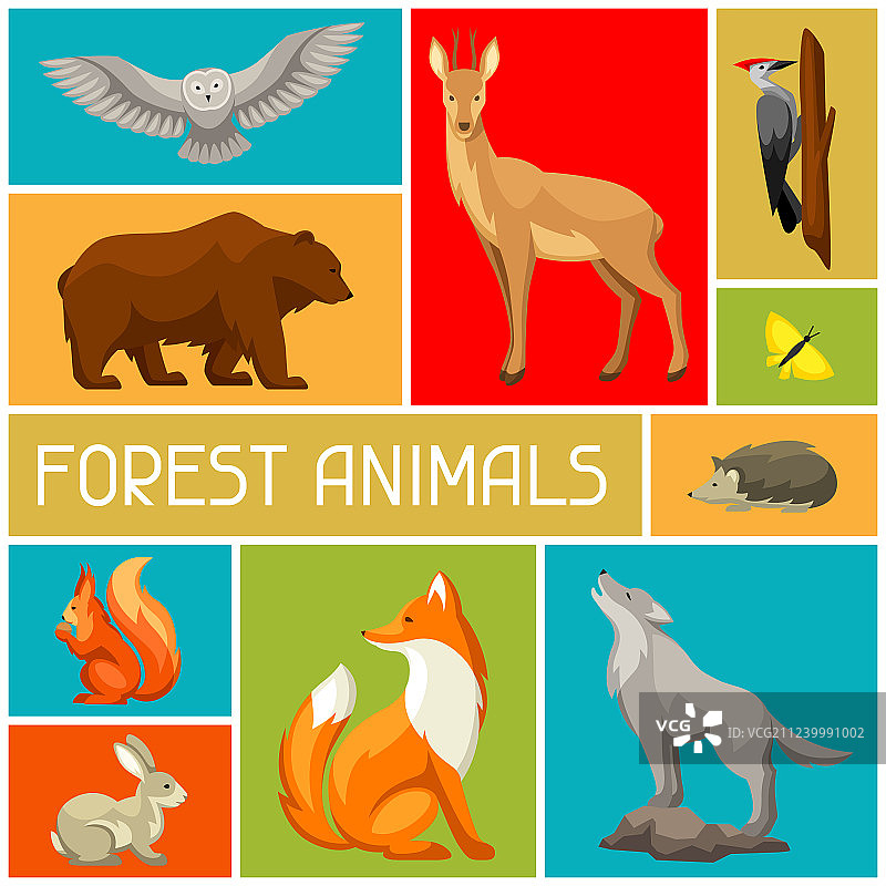 林地背景有森林动物和鸟类图片素材