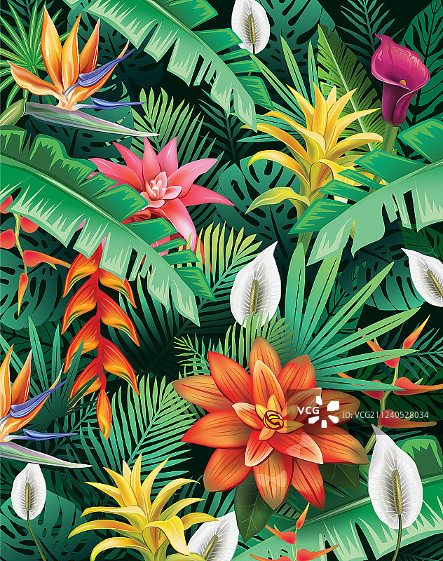 热带花卉背景图片素材