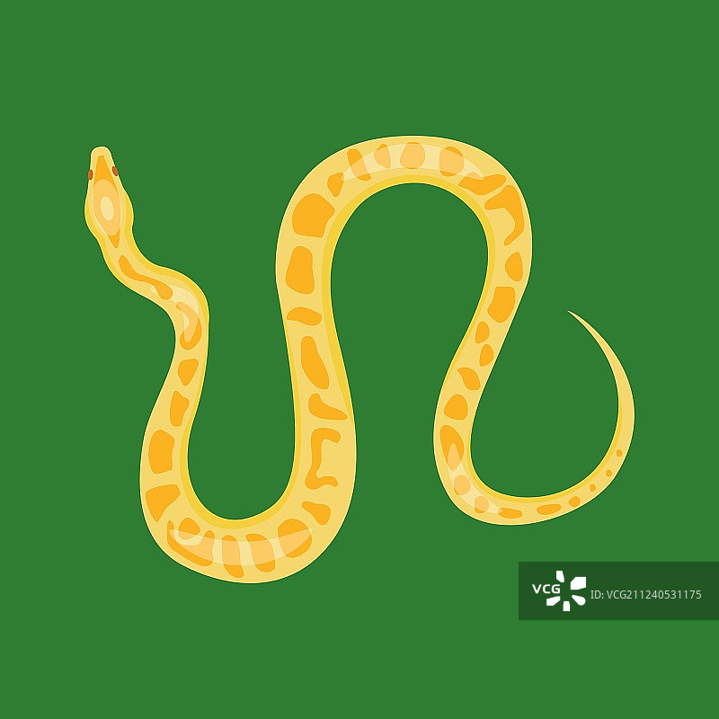 蛇爬行动物卡通图片素材