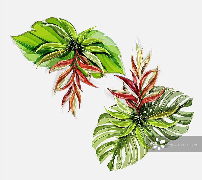 热带植物花卉无缝图案图片素材