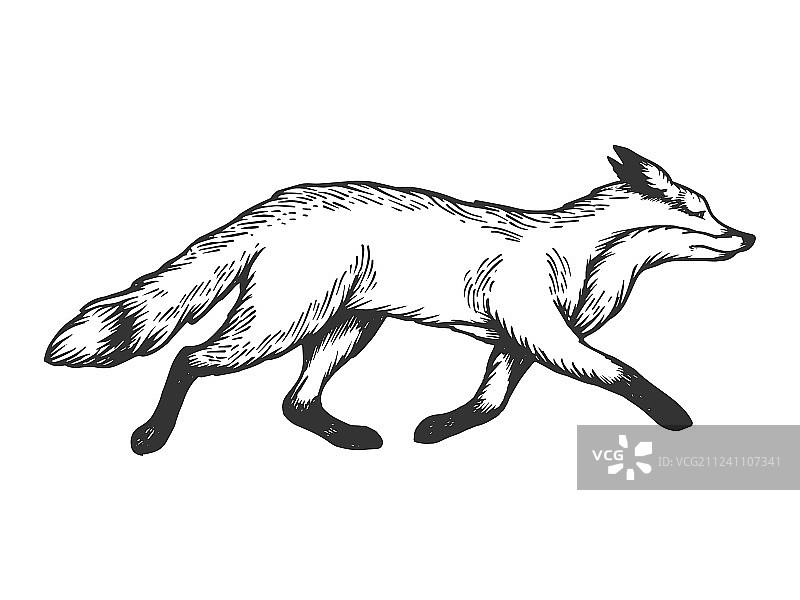 奔跑狐狸动物雕刻图片素材