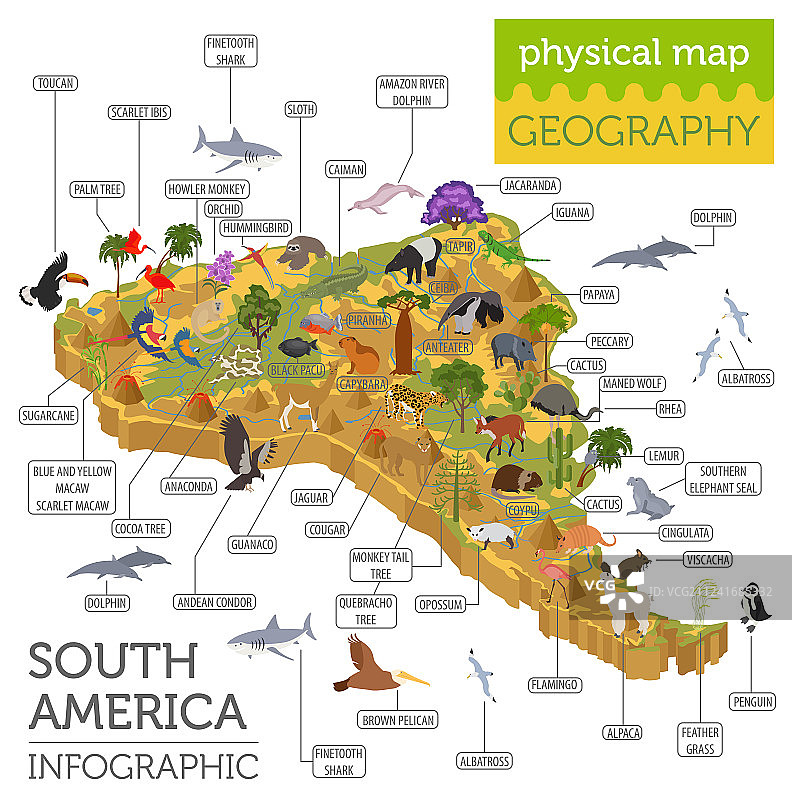 等距3d南美动植物地图图片素材