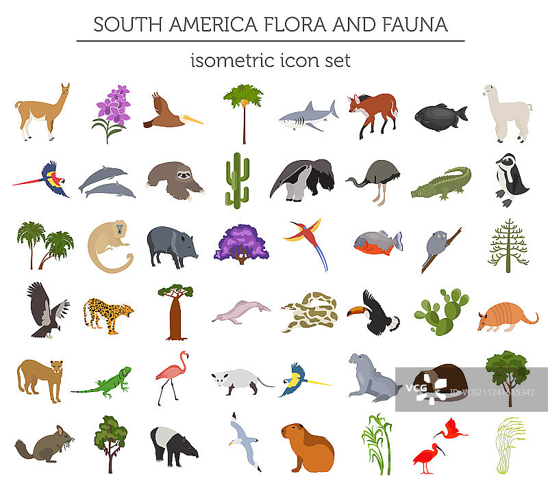 等距3d南美动植物图片素材