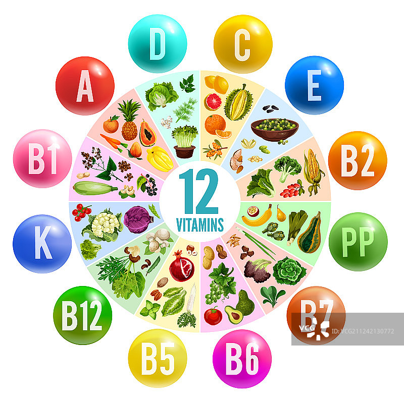 维生素药丸圆圈图表横幅与健康食品图片素材