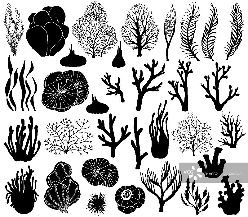 一组海洋珊瑚剪影图片素材