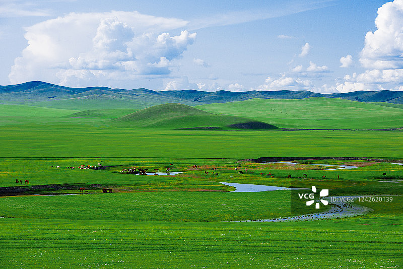 内蒙古呼伦贝尔草原图片素材