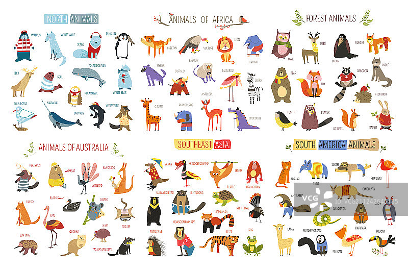 不同大陆的卡通动物和鸟类图片素材