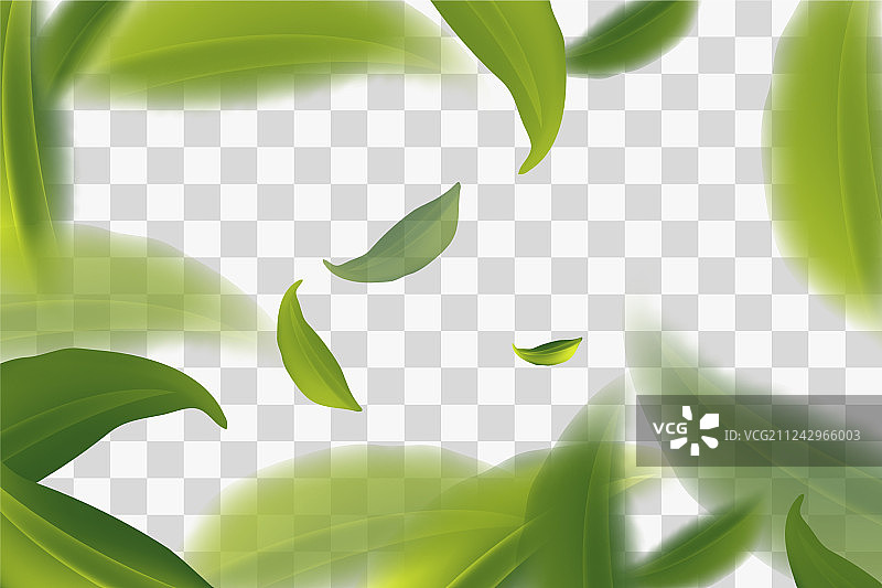 晶莹剔透的绿茶叶子展翅高飞图片素材