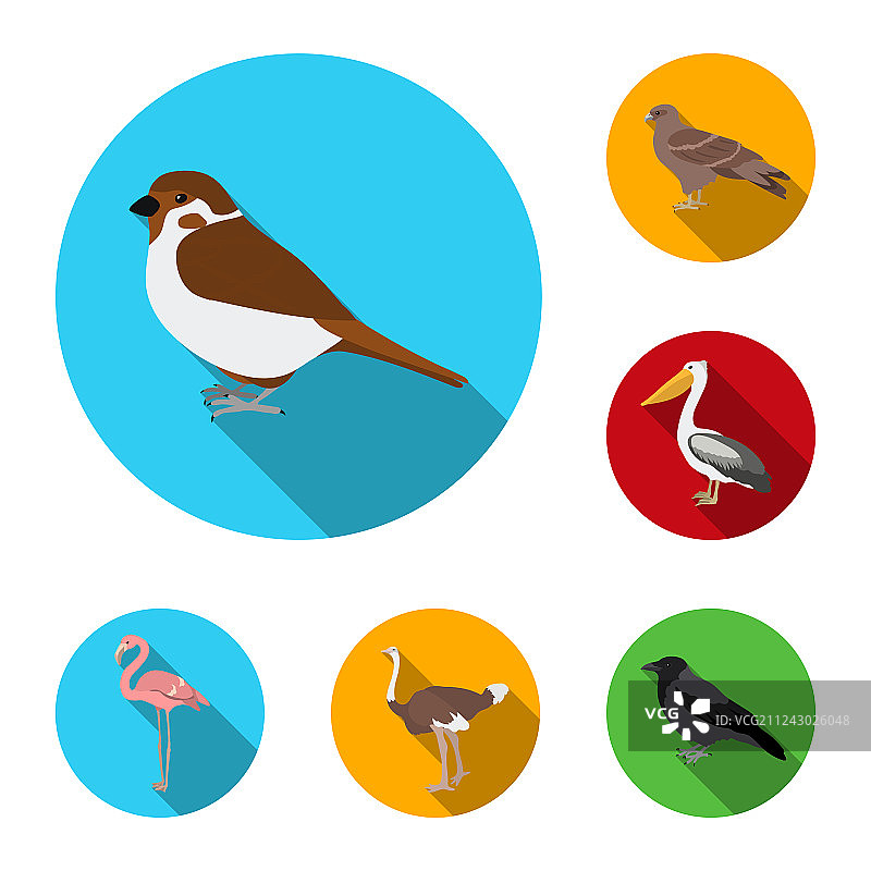 类型的鸟平面图标集合为图片素材