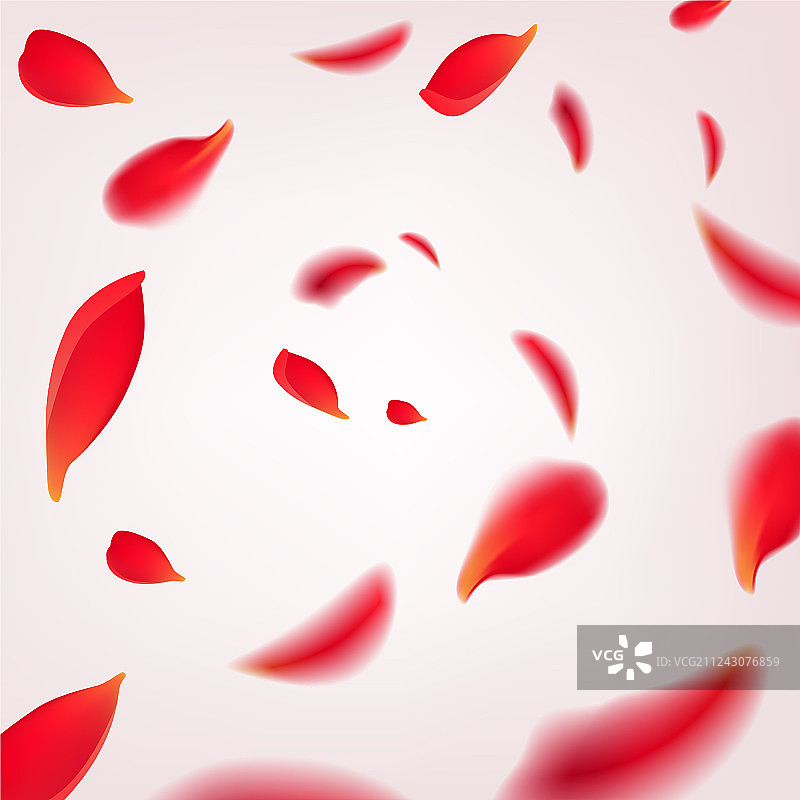 红色玫瑰花瓣散落在白色花瓣上图片素材