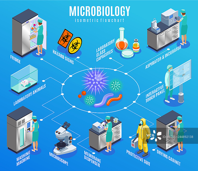 微生物学等距流程图图片素材