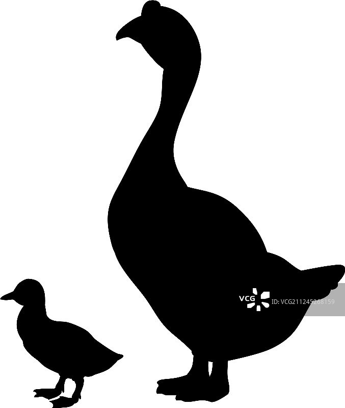 鹅和雏鸟黑色剪影动物图片素材
