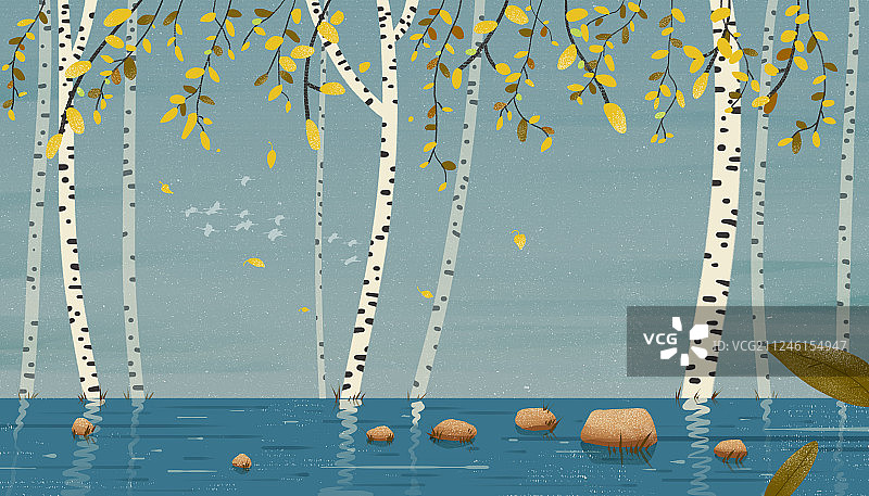 落叶的白桦树和水边石头 二十四节气霜降插画图片素材