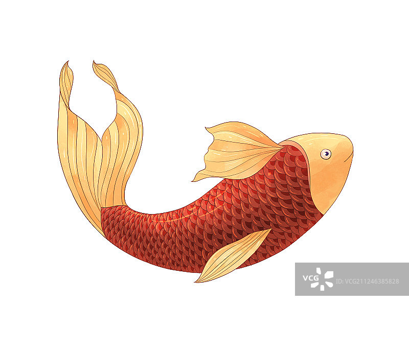 红色鲤鱼插画图素图片素材