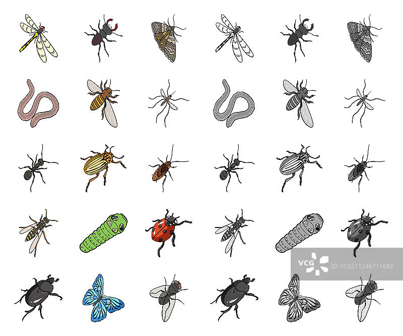 不同种类的昆虫卡通图标图片素材