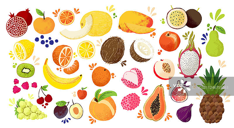 集五彩缤纷手绘水果-热带甜蜜图片素材