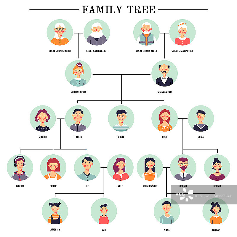 家庭树人类头像关系方案图片素材