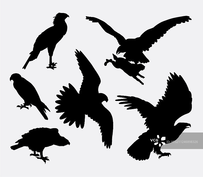 鹰雕雕雕的动物剪影图片素材