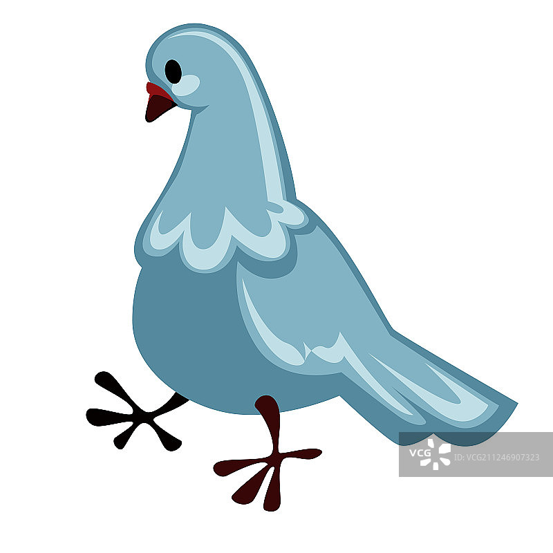 鸽子或鸽子孤立的鸟和平飞翔的象征图片素材