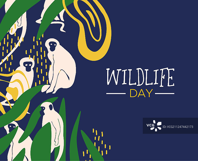野生动物日与猴子丛林卡片图片素材