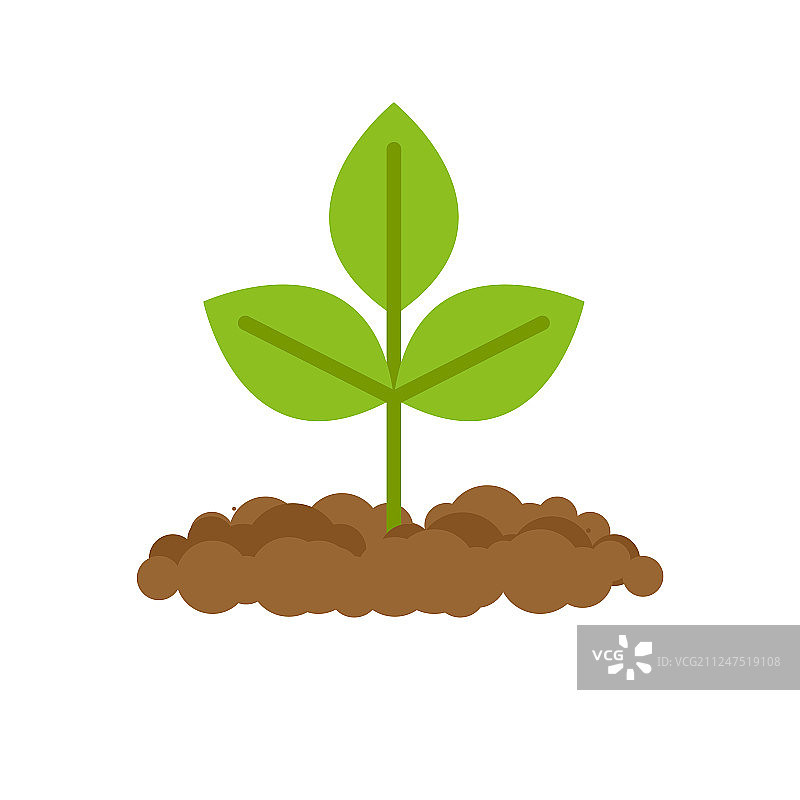 芽是从土壤中的地面植物中生长出来的图片素材