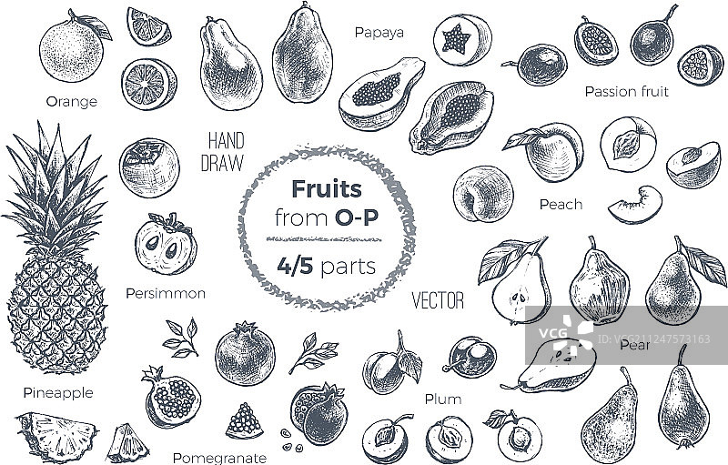 水果手绘素描图标设置有机食品图片素材