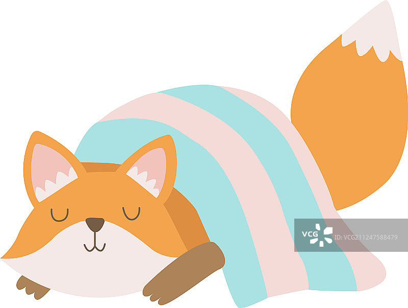 可爱的小狐狸在毯子下睡觉图片素材