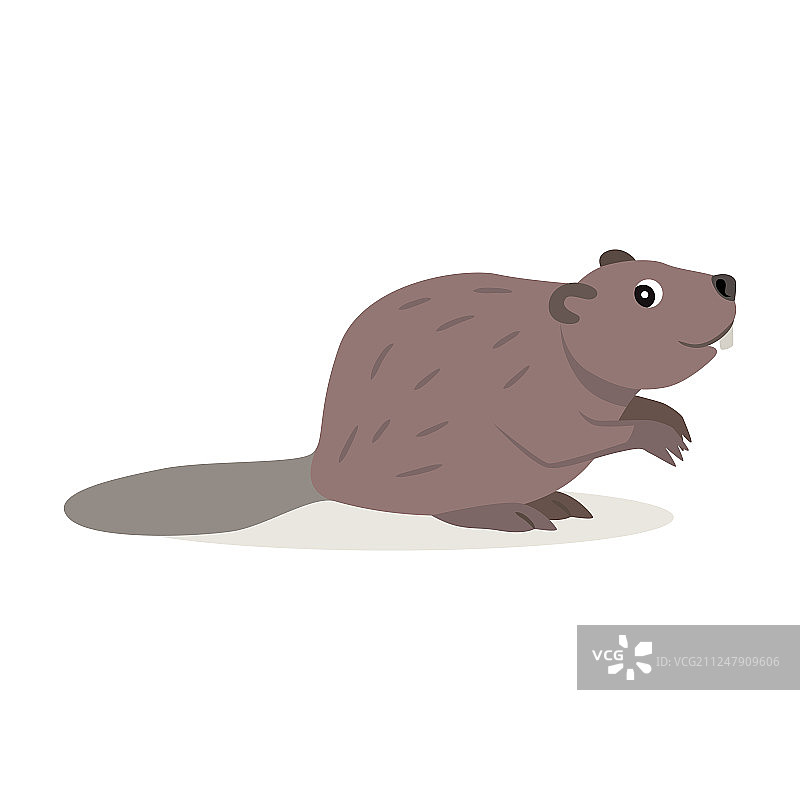 友好的森林动物可爱的棕色海狸图标图片素材
