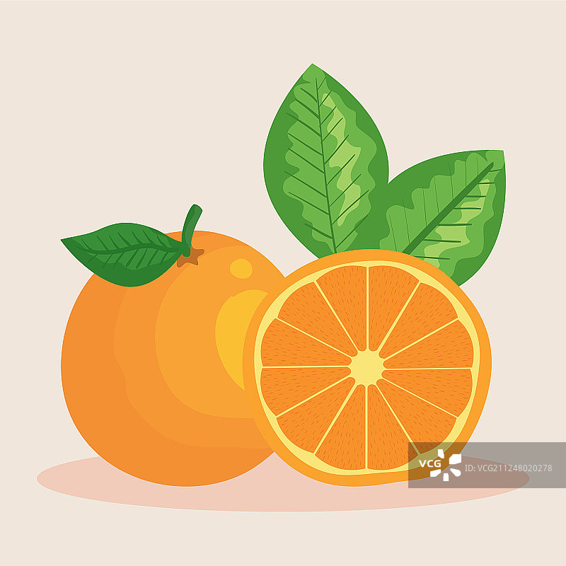 新鲜橙果有机营养图片素材