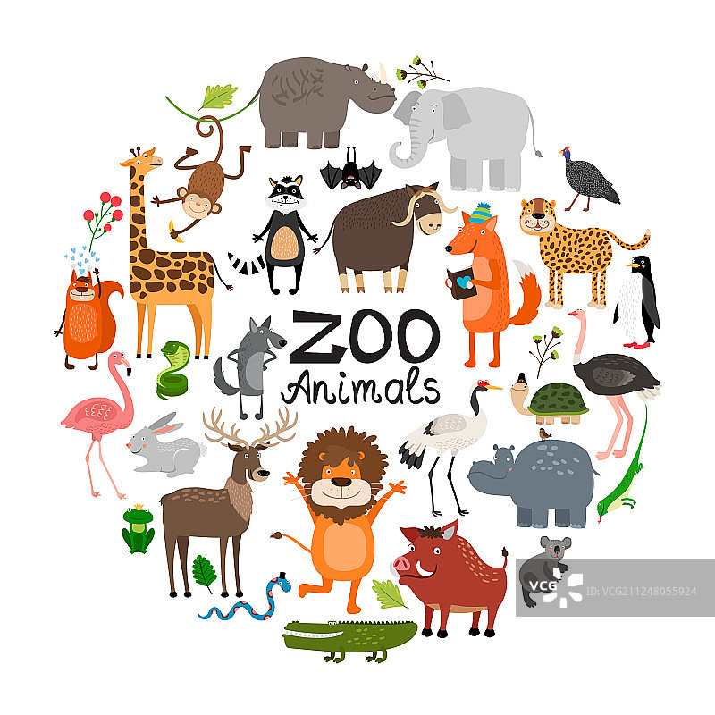 扁动物园动物圆概念图片素材