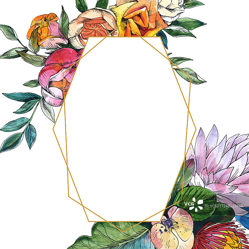 野花，花束，植物花。水彩背景插图集。边框装饰方形。图片素材