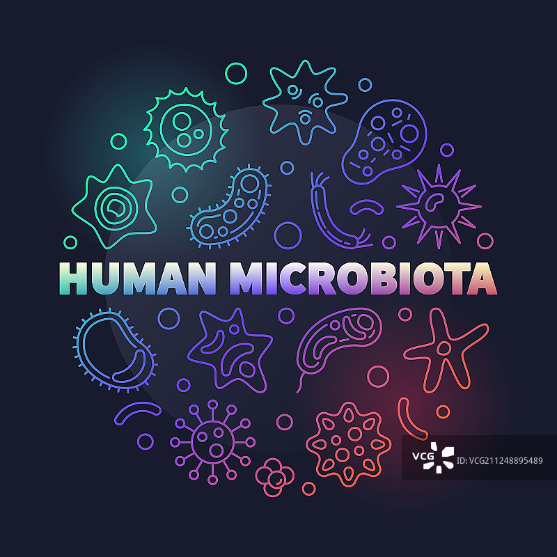 人体微生物区系圆形彩色轮廓图片素材