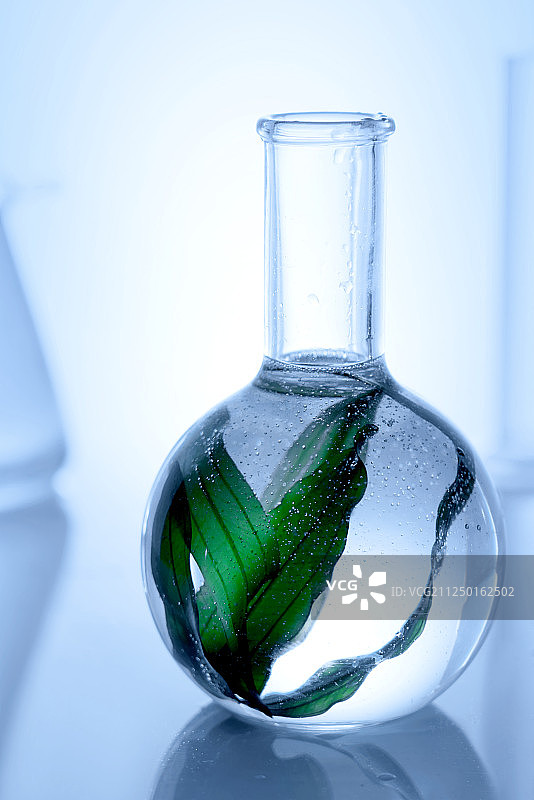 实验室发酵海藻图片素材