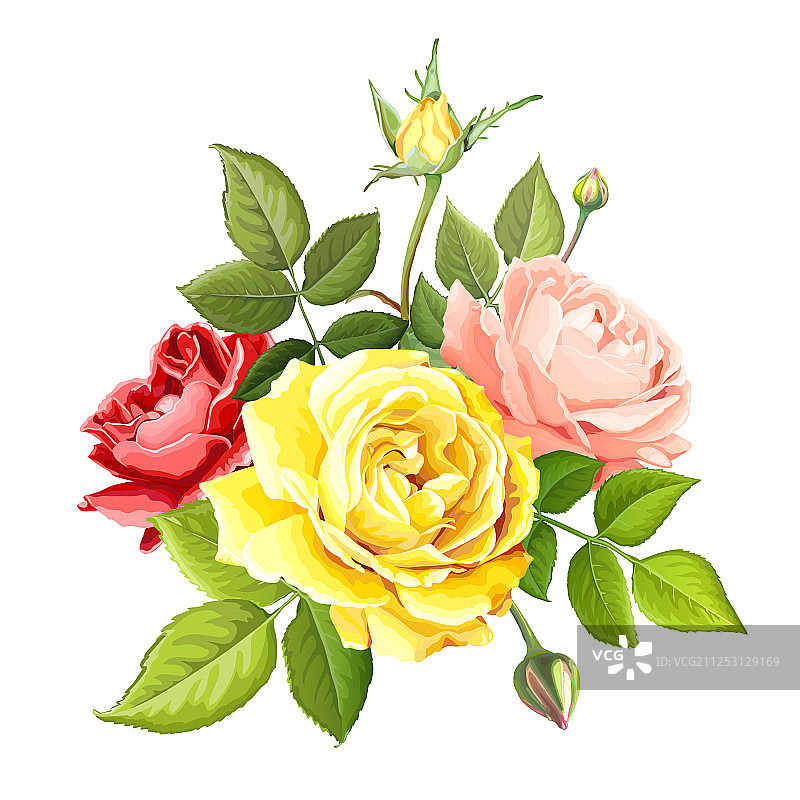 可爱的玫瑰花图片素材