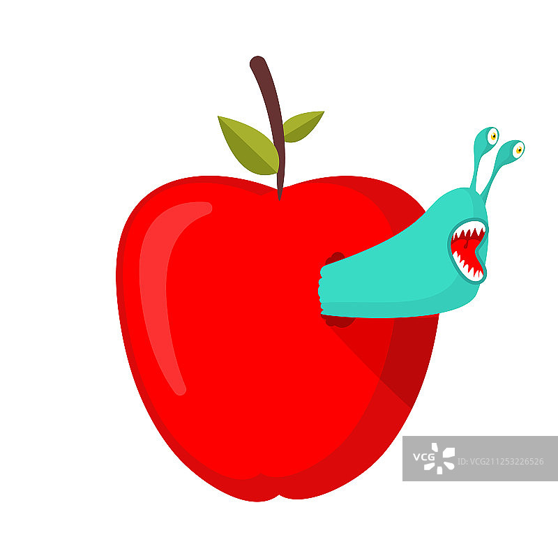 虫子吃红苹果果实中的寄生虫图片素材