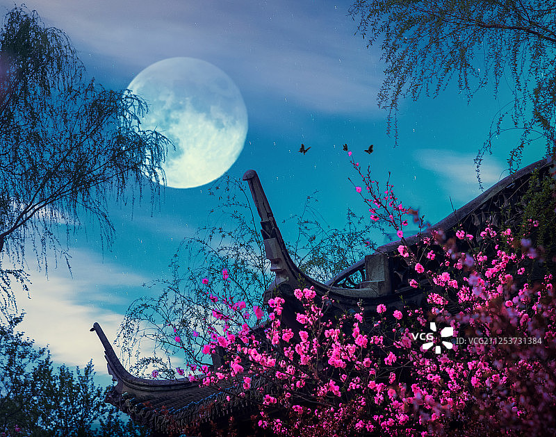 满月悬在古建筑和花朵上面的柳树树梢图片素材