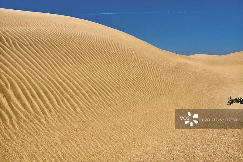 沙漠沙丘特写图片素材