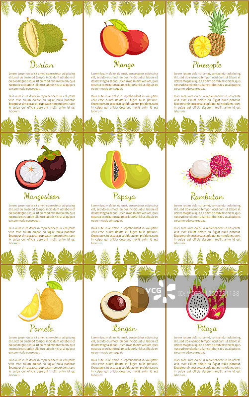 榴莲和芒果菠萝海报套装图片素材