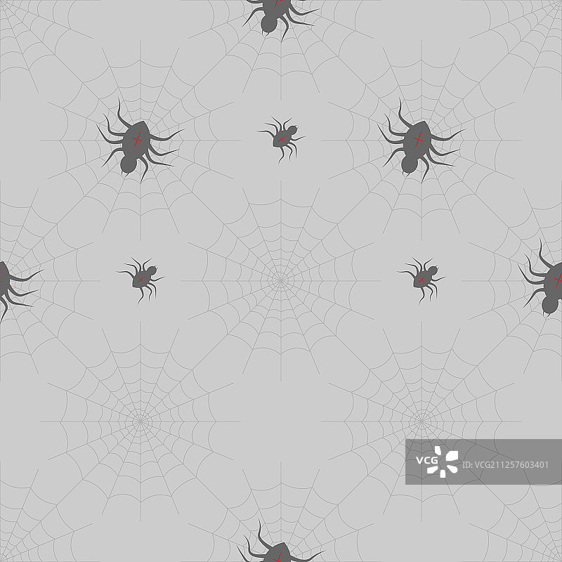 万圣节的蜘蛛网上印着灰色的蜘蛛图片素材